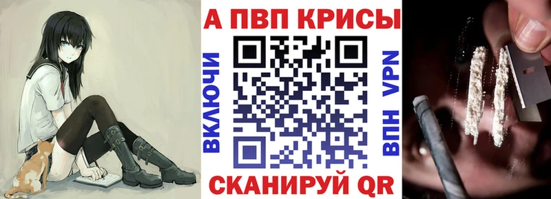 A PVP крисы CK  что такое   hydra tor  Тара 